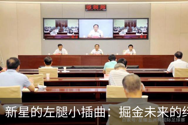 新星的左腿小插曲：掘金未来的绊脚石？